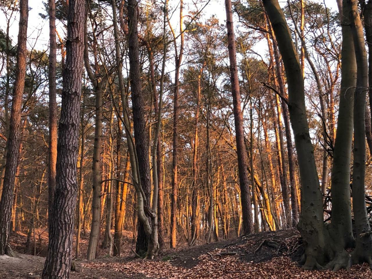 Ferienwohnung Strandnah Zempin Exteriér fotografie